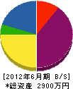 和田塗装店 貸借対照表 2012年6月期