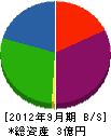 新日本化工 貸借対照表 2012年9月期