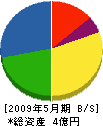 田中造園 貸借対照表 2009年5月期