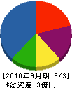 齋藤商会 貸借対照表 2010年9月期