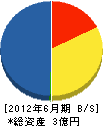 日昇エンジニアリング 貸借対照表 2012年6月期