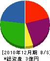 宮崎南不動産 貸借対照表 2010年12月期