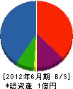 竹節建築 貸借対照表 2012年6月期