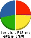 山口電気商会 貸借対照表 2012年10月期