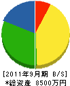 ニシヨシ 貸借対照表 2011年9月期