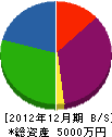 若井組 貸借対照表 2012年12月期