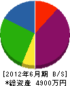 田中電設 貸借対照表 2012年6月期