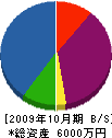 共立開発 貸借対照表 2009年10月期