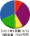 中井造園 貸借対照表 2011年6月期