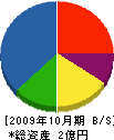 サンエキ 貸借対照表 2009年10月期
