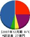 佐藤興業 貸借対照表 2007年12月期