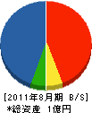 ケイユー 貸借対照表 2011年8月期