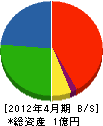 興洋開発 貸借対照表 2012年4月期