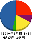 新日本工業 貸借対照表 2010年3月期