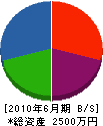 緒方水道設備 貸借対照表 2010年6月期
