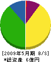 大松土建 貸借対照表 2009年5月期