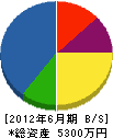 山田住建 貸借対照表 2012年6月期