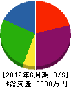黒須建築塗装 貸借対照表 2012年6月期