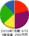 日本発電建設 貸借対照表 2010年7月期