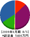 宮田工業 貸借対照表 2009年6月期