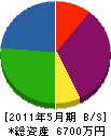 柳田電気興業 貸借対照表 2011年5月期