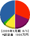 山＊電気 貸借対照表 2009年9月期