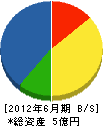 岩佐土建 貸借対照表 2012年6月期