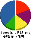 片山建設 貸借対照表 2008年12月期