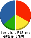 渋谷組 貸借対照表 2012年12月期