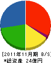 イヅミ商事 貸借対照表 2011年11月期