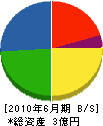 菅沼建設 貸借対照表 2010年6月期