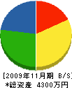 矢田建設 貸借対照表 2009年11月期