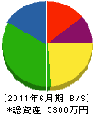 須崎水道建設 貸借対照表 2011年6月期