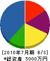 石井工務店 貸借対照表 2010年7月期