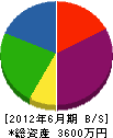 朝倉組 貸借対照表 2012年6月期