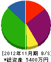 八崎興業 貸借対照表 2012年11月期
