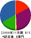 井上デンキ 貸借対照表 2009年11月期
