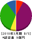 丸三商会 貸借対照表 2010年3月期