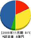 長澤工務店 貸借対照表 2008年11月期