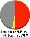 藤井鉄工所 損益計算書 2007年12月期