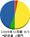 イシヅカ 貸借対照表 2009年12月期