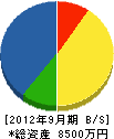 竹本設備 貸借対照表 2012年9月期