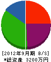 大松建設 貸借対照表 2012年9月期
