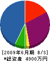 恵谷石材店 貸借対照表 2009年6月期