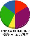 松雪重設 貸借対照表 2011年10月期