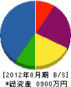 日本ＴＲＣ 貸借対照表 2012年8月期