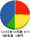 竹内組 貸借対照表 2009年10月期