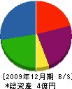 稚内グリーンファクトリー 貸借対照表 2009年12月期