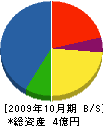 三竹工業 貸借対照表 2009年10月期