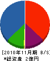 葉山工務店 貸借対照表 2010年11月期